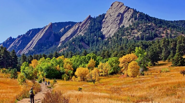 fulltime job available in Boulder for nanny family assistant for easy-going 11 year old girl